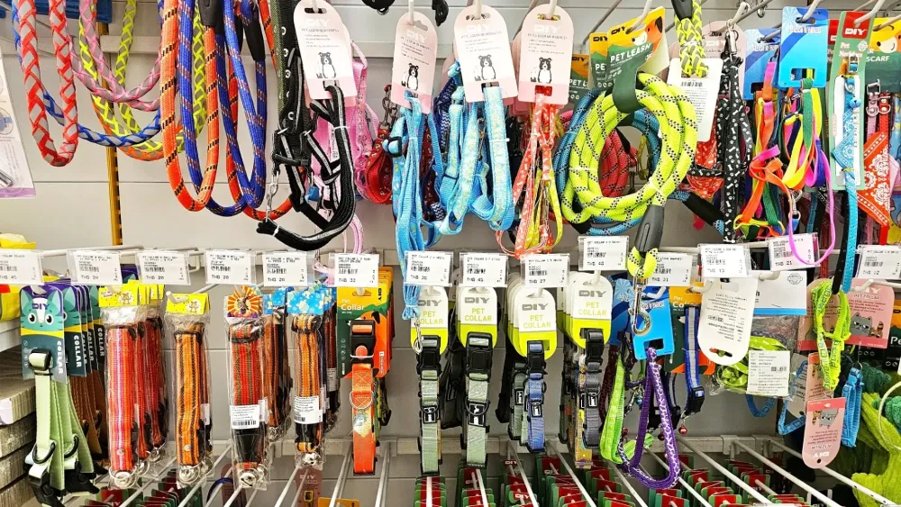 Équipements et accessoires animaux à Montbrison